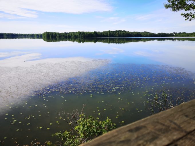 Näkymä Kirkkojärven selälle