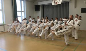 Kuva: Länkyn Taekwondo