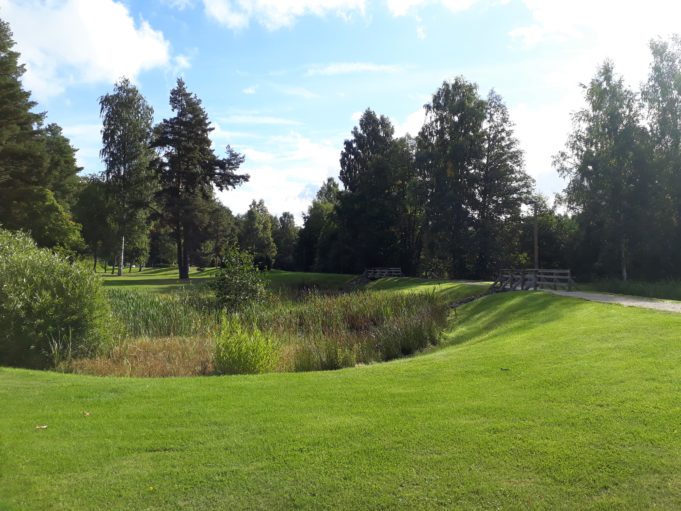 Puistonäkymä, jossa viheralueen keskellä näkyy pensasistutuksia. Alueen reunalla näkyy kävelytie ja puisten siltojen kaiteita.