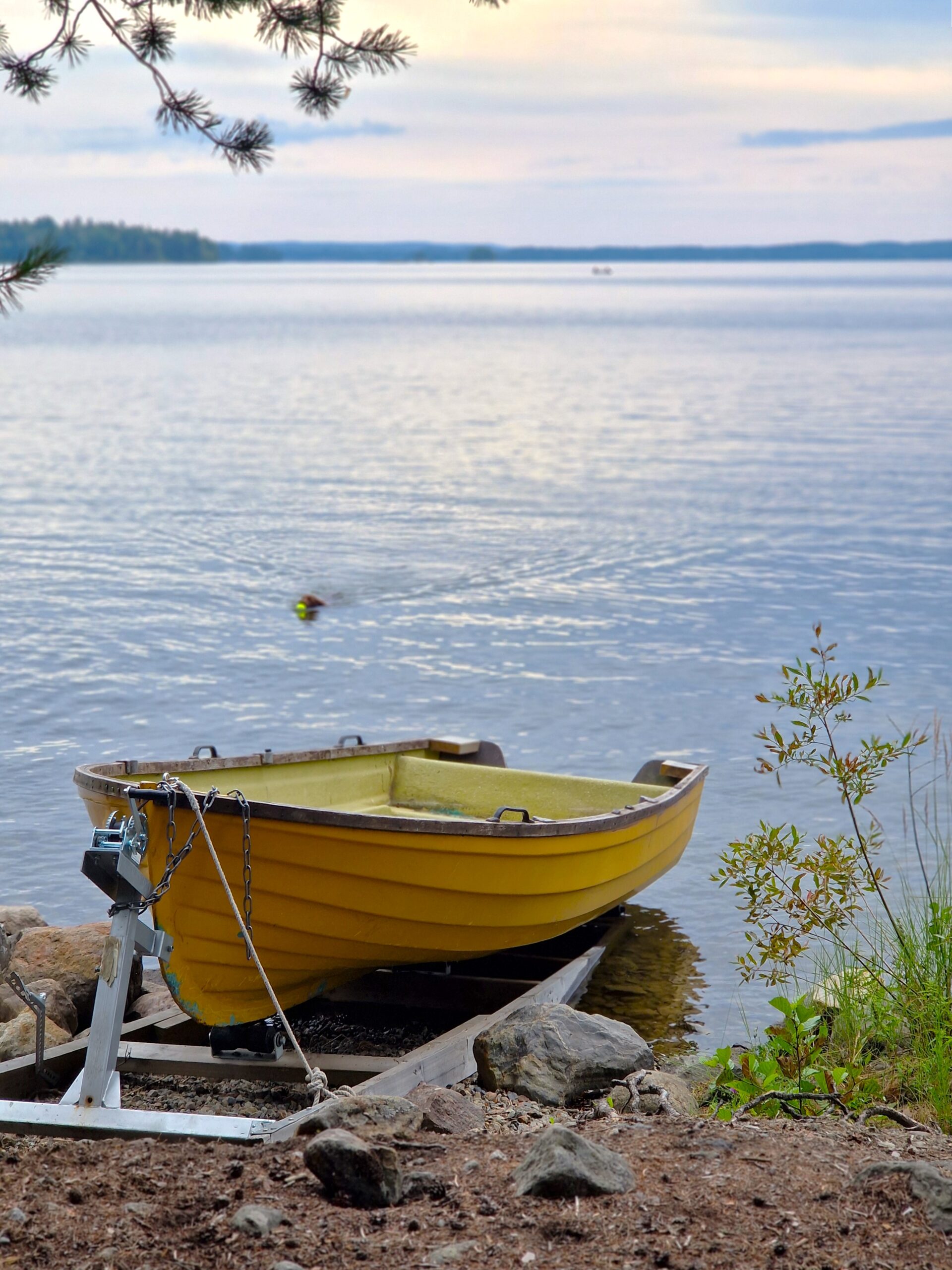 Liuksialan veneranta