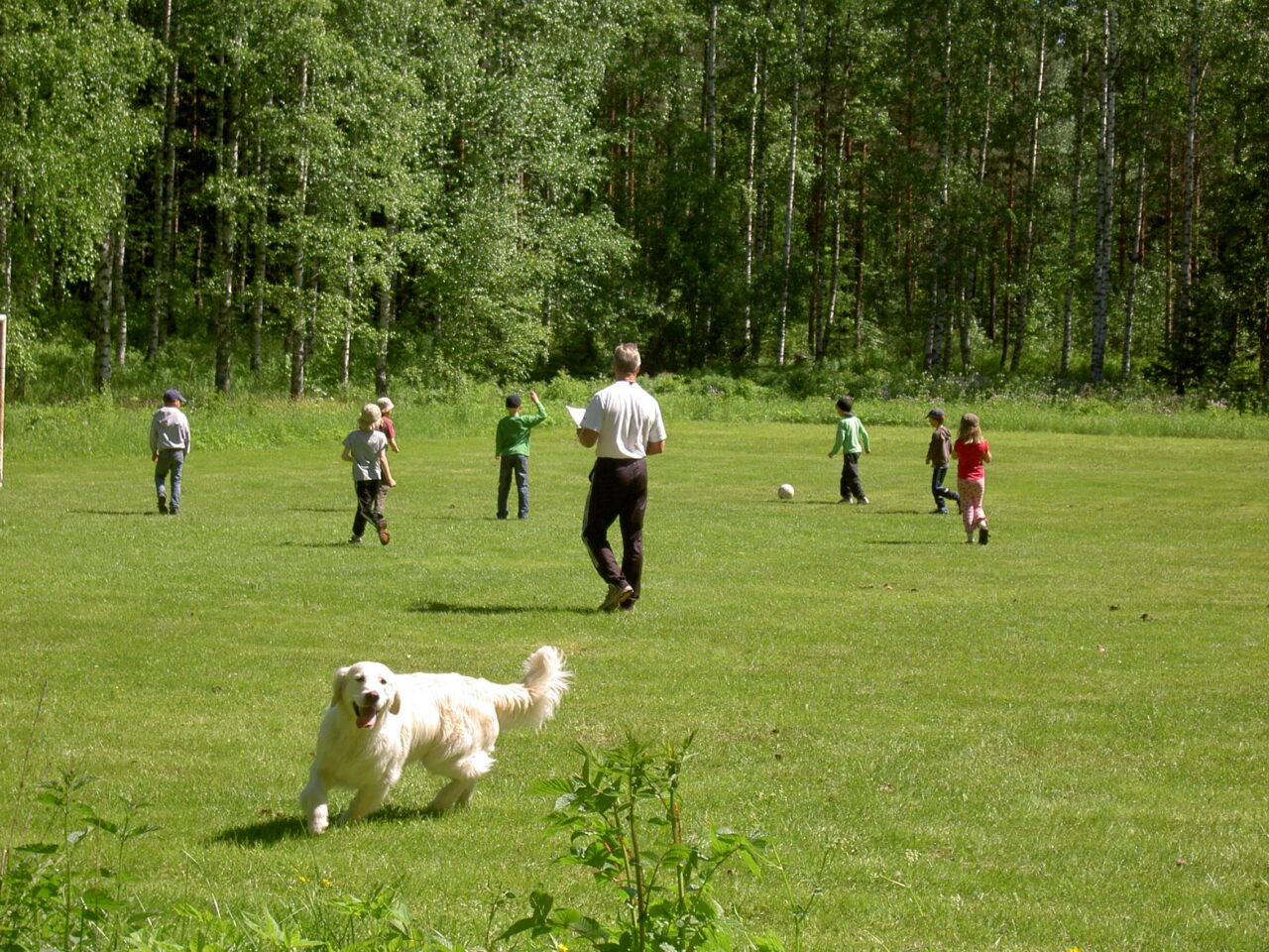 Kuvassa kesäinen vihreä nurmikenttä, jossa poispäin kuvaajasta juoksee lapsia. Aurinko paistaa. Etualalla valkoinen iso koira sekä aikuinen paperi kädessään.