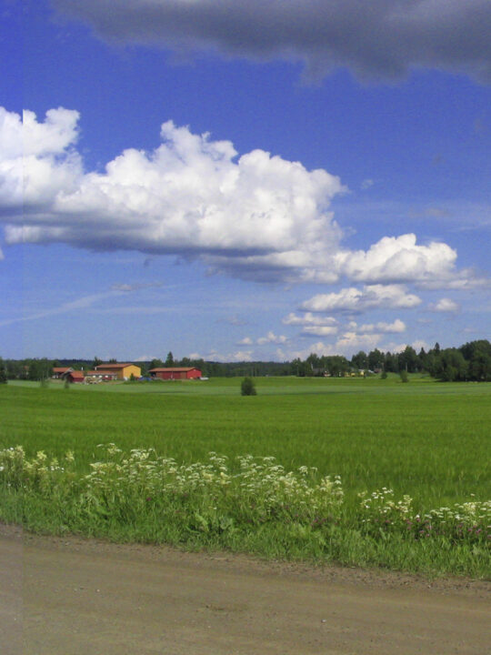 Kuva Tursolan maalaismaisemasta