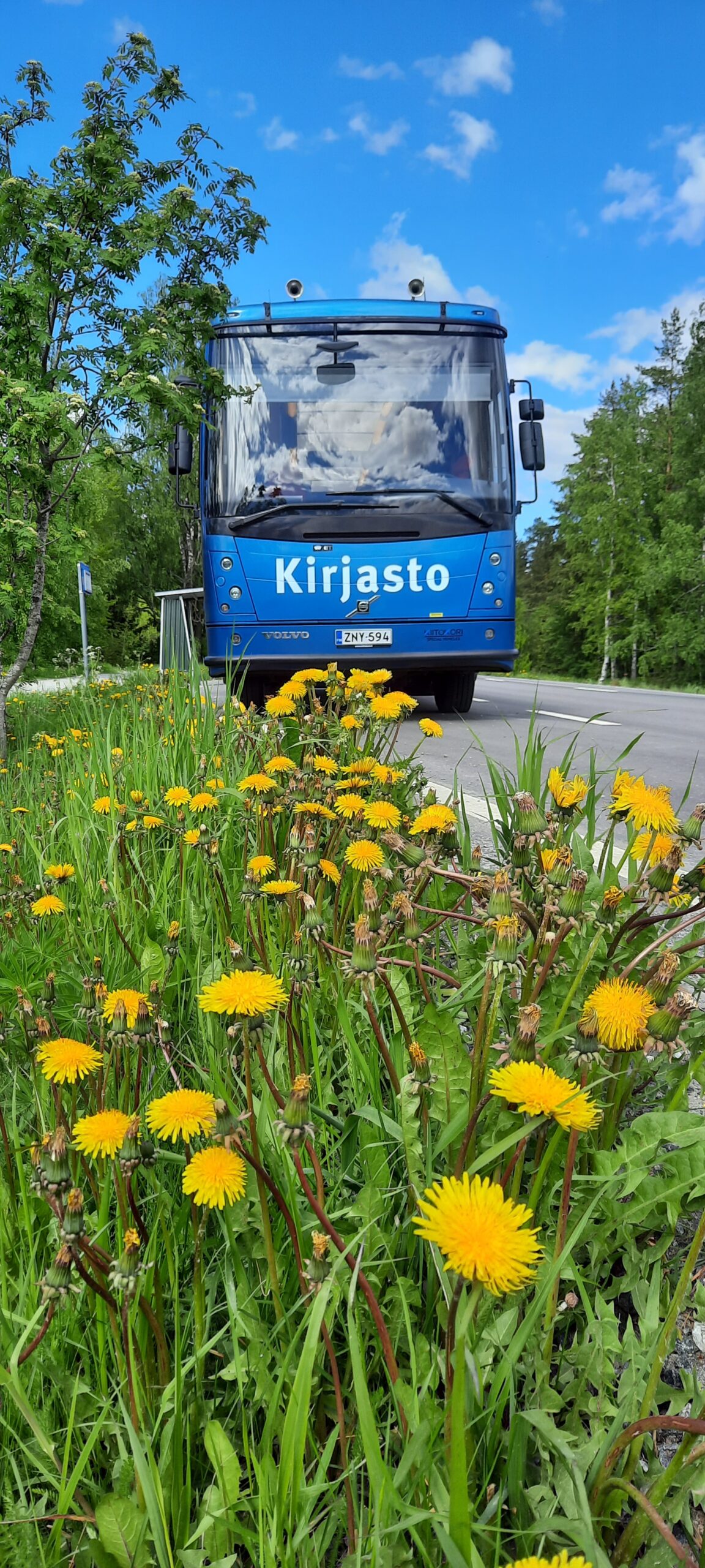 Kangasalan kirjastoauto kesäisessä maisemassa keltaisten voikukkien takana.